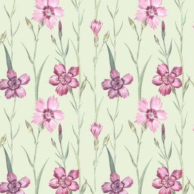 Гвоздика травянка на зеленом / Maiden Pink on green