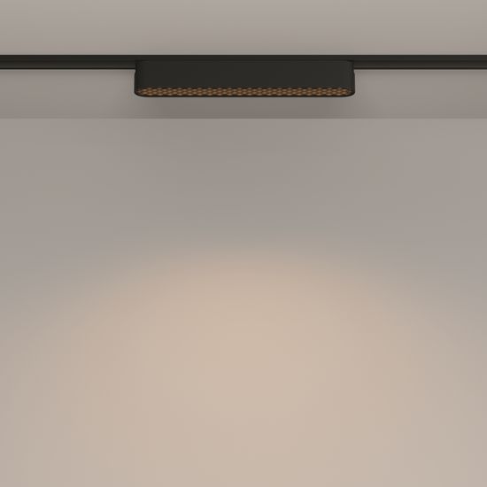 Трековый светильник Technical TR084-1-12W3K-B