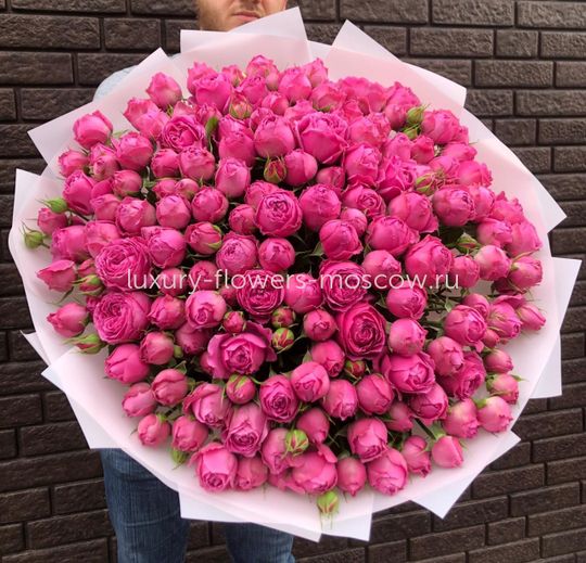 Букет пионовидных роз Баблс фиолетовые