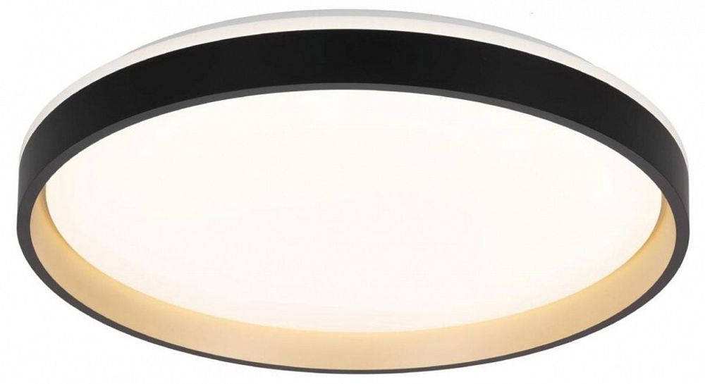 Накладной светильник Citilux ENZO CL753511G