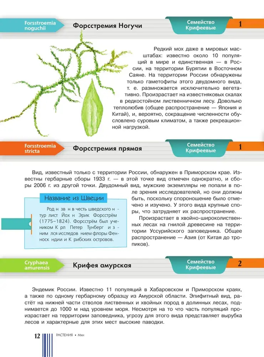 Красная книга России. Растения Грибы Лишайники