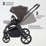Детская коляска Rant Flex Therm Soft 3 в 1 с автокреслом Evomax Black Shine Brown