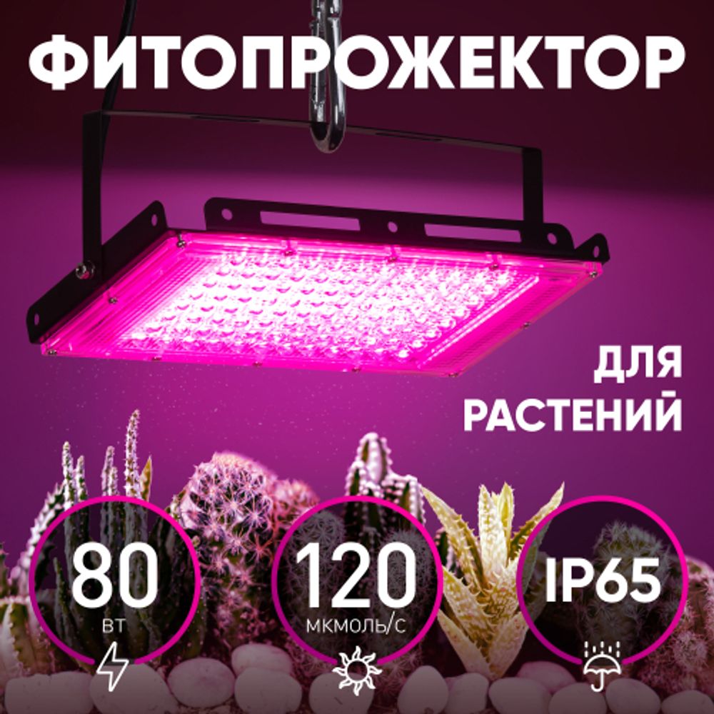 Фитопрожектор для растений светодиодный ЭРА FITO-80W-RB-LED-Y красно-синего спектра
