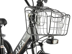 Электровелосипед GREEN CITY e-ALFA Trike (черный)