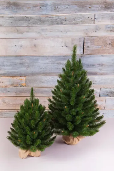 Елка Сказочная в мешочке 90 см., леска, Triumph Tree (73538)