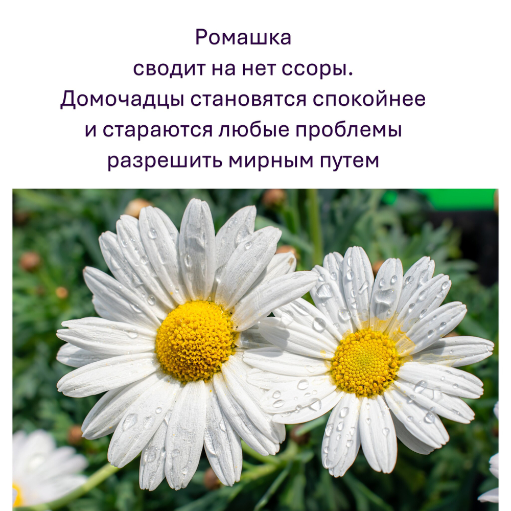 Свечи желтые/ защита и благополучие, с эфирными маслами и травами, 18х2 см