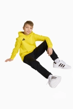 Кофта adidas Entrada 26 Sweat Junior - желтый