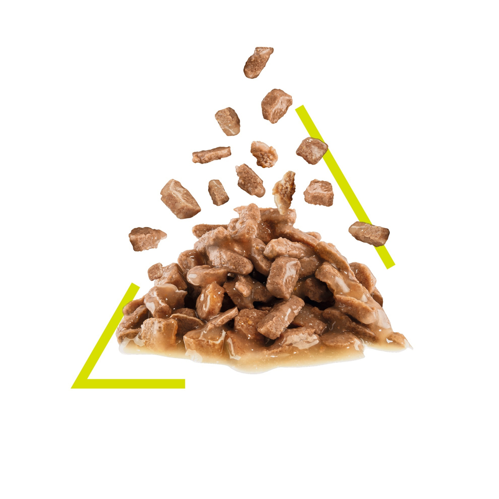 Влажный корм для кошек стимулирующий обонятельные рецепторы Royal Canin Sensory Запах, 12 шт x 85 г