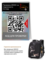 Ранец GROOC 7mini-028 + пенал + мешок + часы