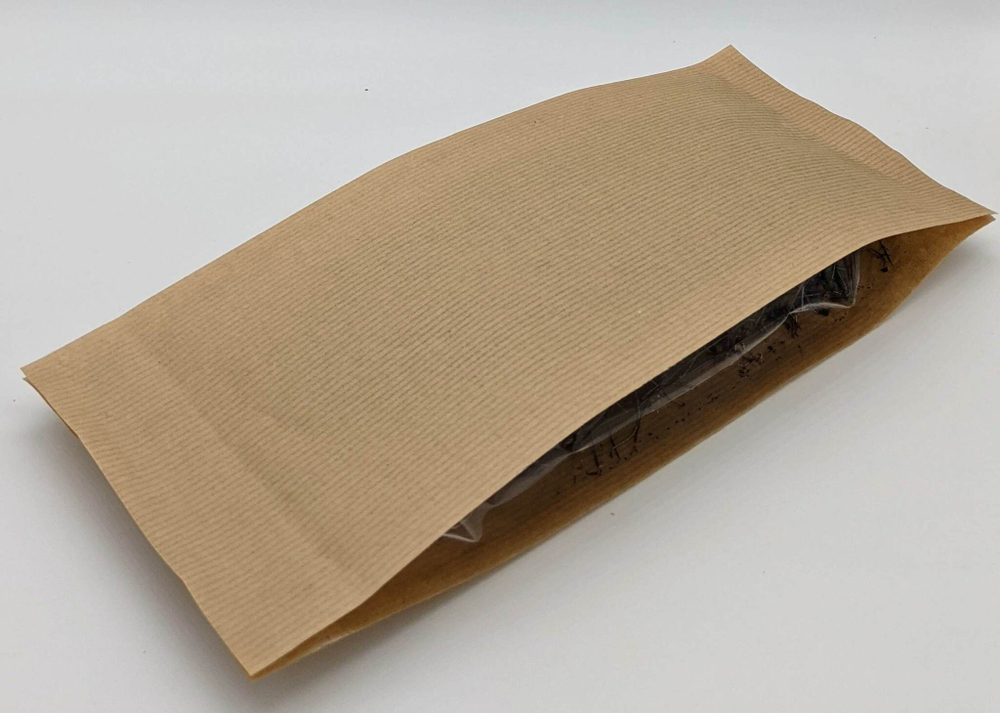 Карагана гривастая (побег) (цельный)