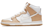 Кроссовки Premier X Nike Dunk Sb
