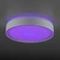 Потолочный светодиодный светильник Citilux Boss CL751250G