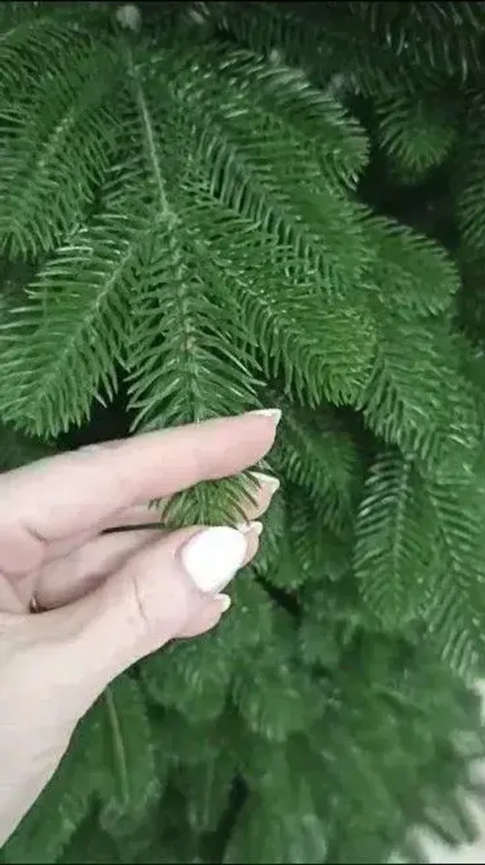 Ель искусственная «Изольда» (Литая хвоя) 150 см / 1,5 м