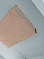 Негоже лилиям прясть. Французская волчица