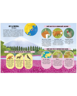 Большая энциклопедия CLEVER. Удивительные животные и где они обитают