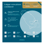 Бирюзовый вибратор 20,3см с вакуумным стимулятором Womanizer Duo 2 Petrol WZ142SG8