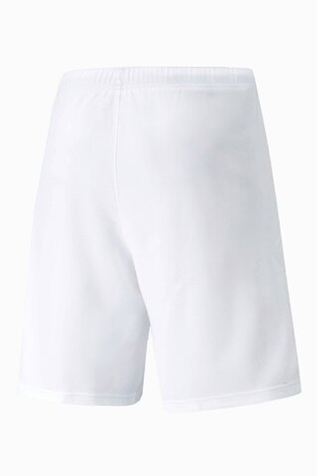 Шорты Puma teamRISE