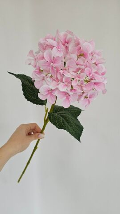 Гортензия / Арт 2097