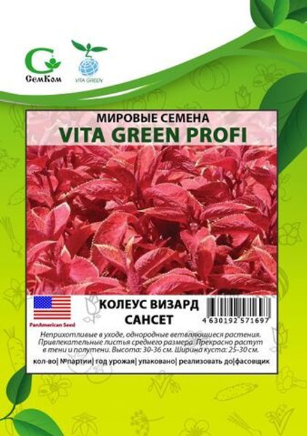 Колеус Визард Сансет (50шт) Витагрин Профи