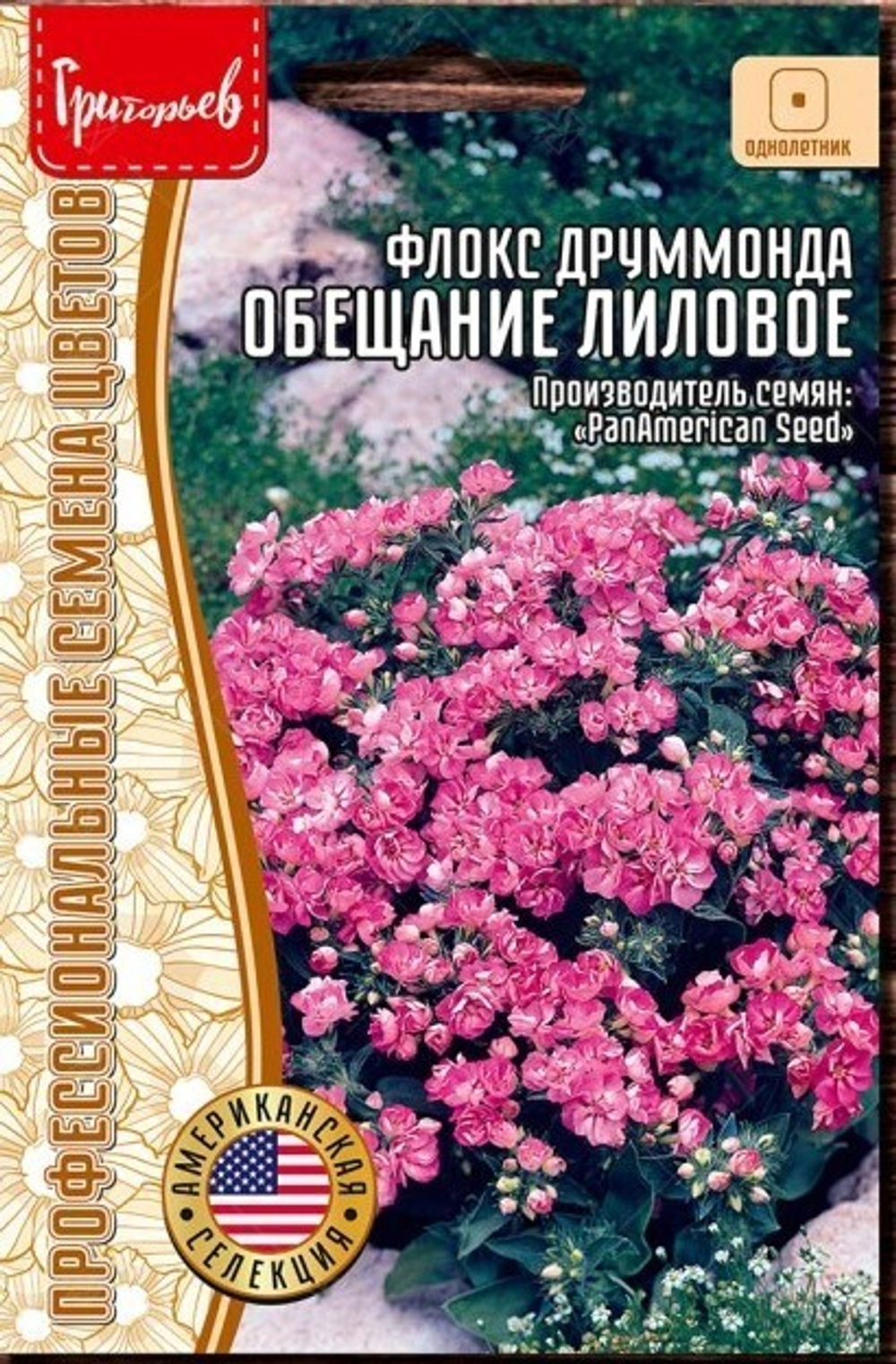 Флокс друммонда Обещание лиловое махровый