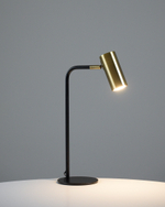 Лампа настольная Moderli V11002-TL Fine