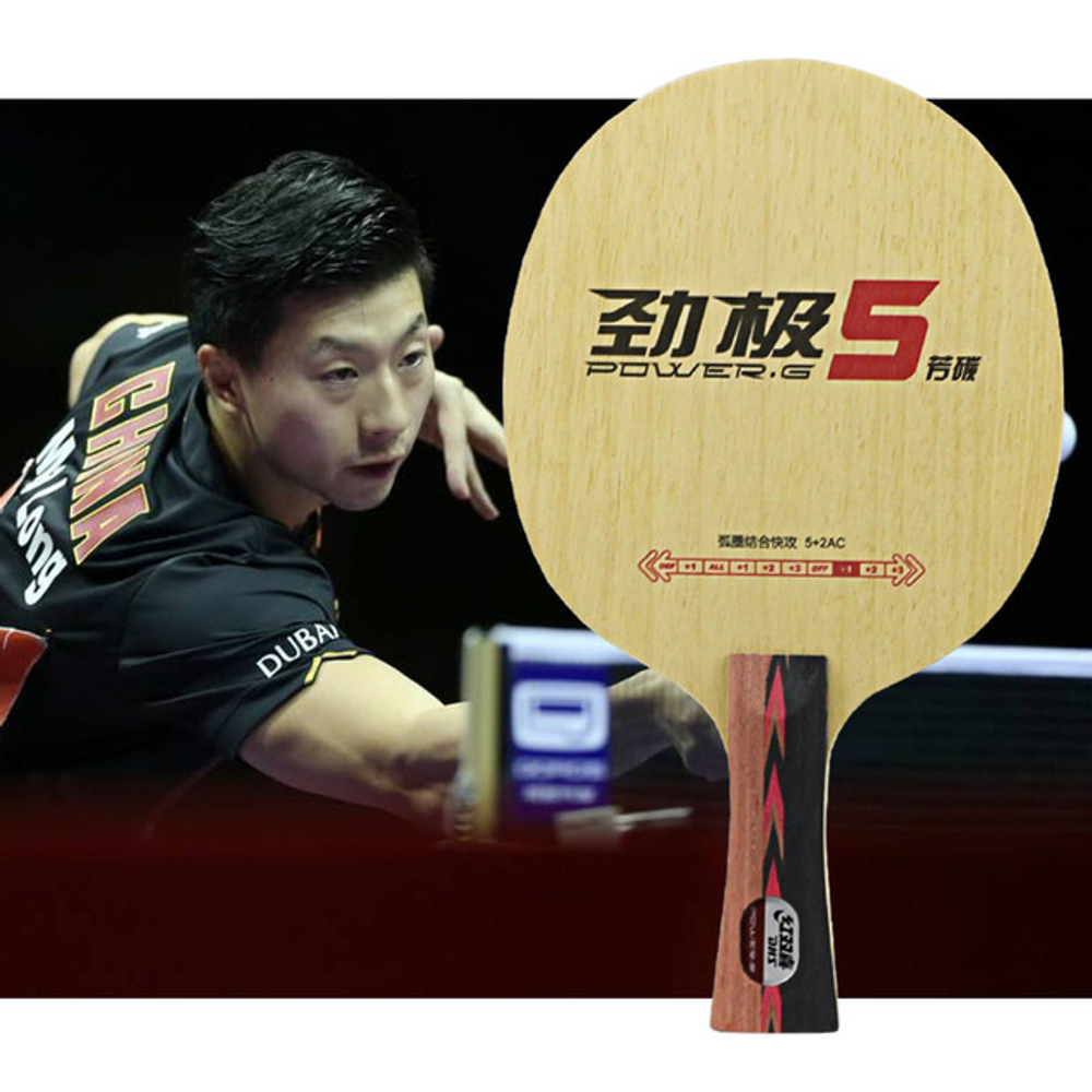 DHS PG-5 New 2017 from Ma long