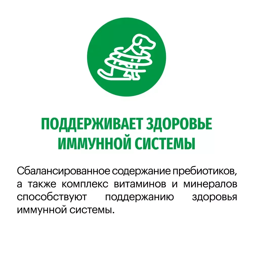 Сухой корм Karmy Mini Adult для взрослых собак мелких пород, с индейкой