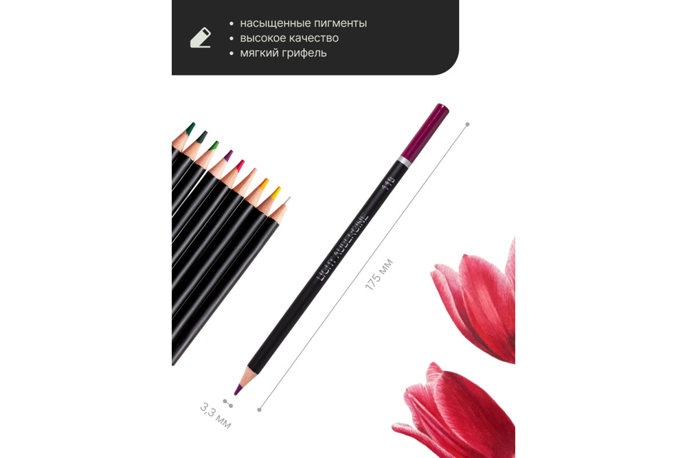 Набор цветных карандашей Pictoria Architecture, 24шт, в металлической коробке