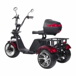 Электроскутер SKYBOARD CITYCOCO TRIKE BR80