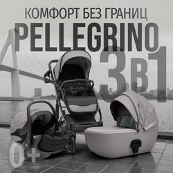 Модульная коляска BubaGO Pellegrino 3в1
