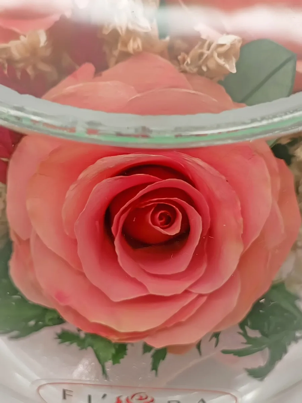 натуральные розы в стекле, вакуум