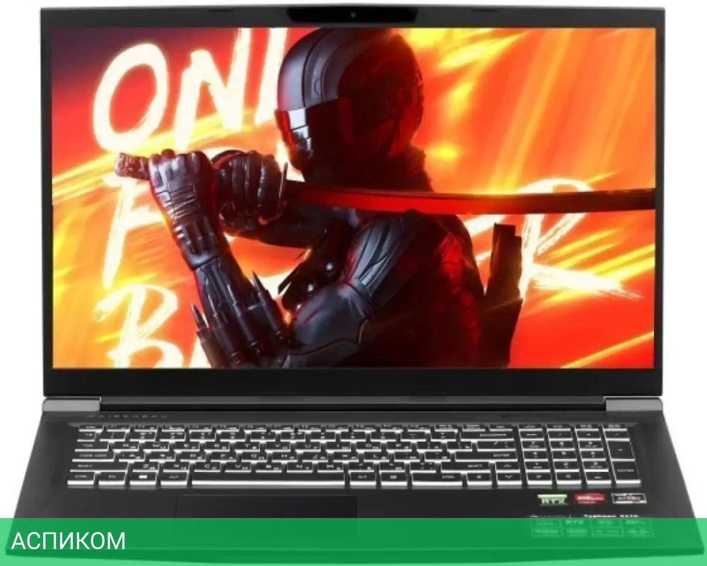 Ноутбук Maibenben X17A X17A-R56035