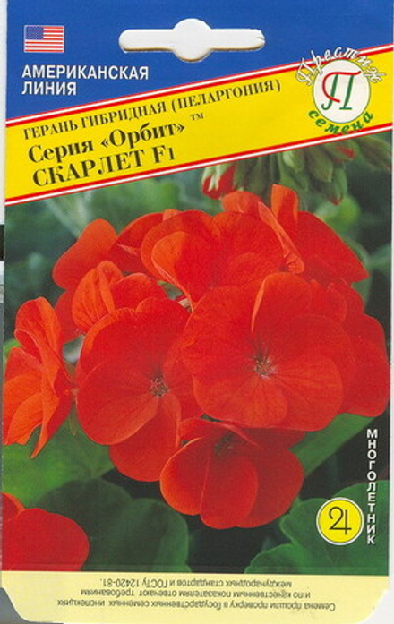 Герань Орбит Скарлет гибридная Престиж