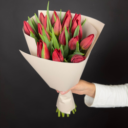 Bouquet of 15 red tulips