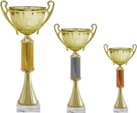 Кубок Викки