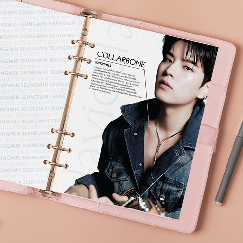 Принт / Разделитель А5 / STRAY KIDS / Сынмин