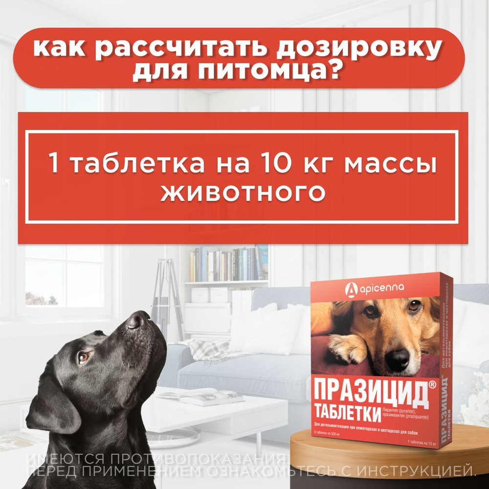 Таблетки от гельминтов для собак Празицид APICENNA, 6таб. Празиквантел/Пирантел
