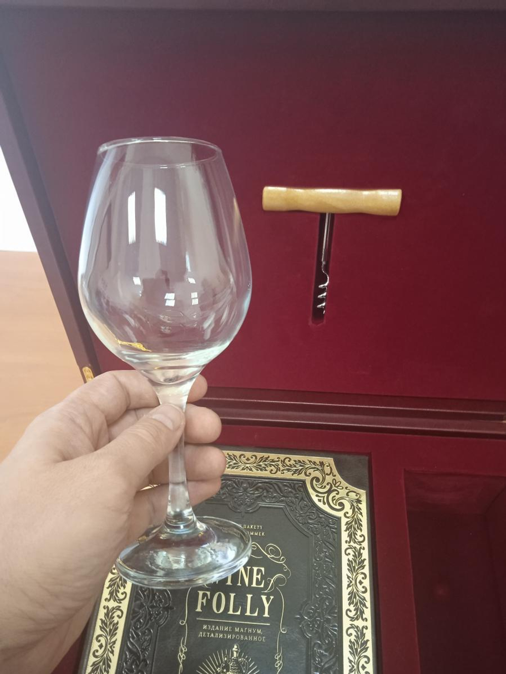"Wine Folly: издание Магнум. Практический путеводитель" Подарочный набор: книга с бокалом и штопором