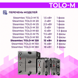 Парогенератор для хамама и турецкой бани Steamtec TOLO-М 120 (12 кВт)