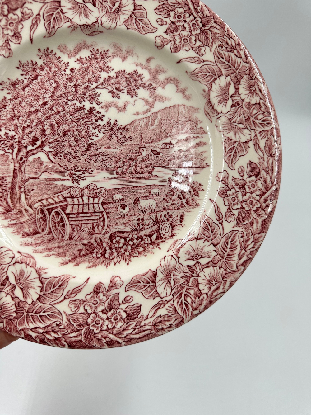 Тарелка 22,5см English Ironstone