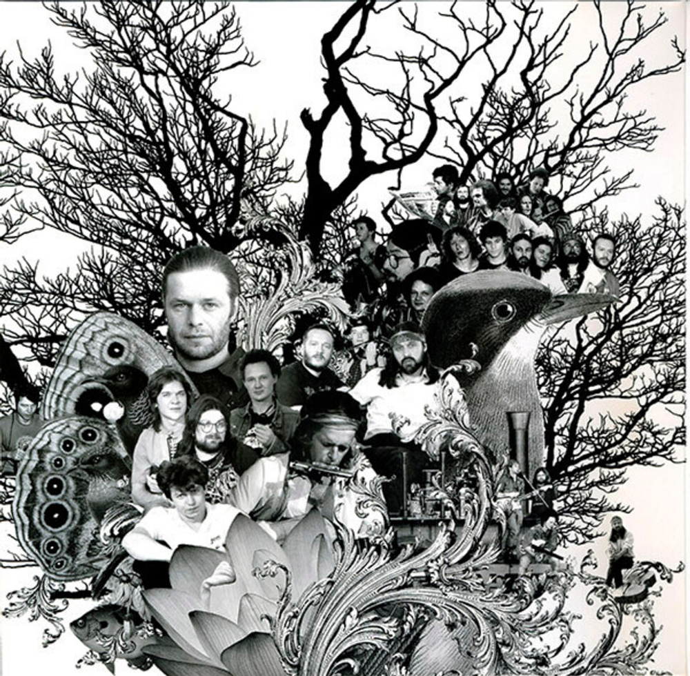 Аквариум / Наша Жизнь С Точки Зрения Деревьев (LP)