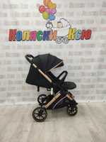 Коляска прогулочная Rant Basic Vortex Black