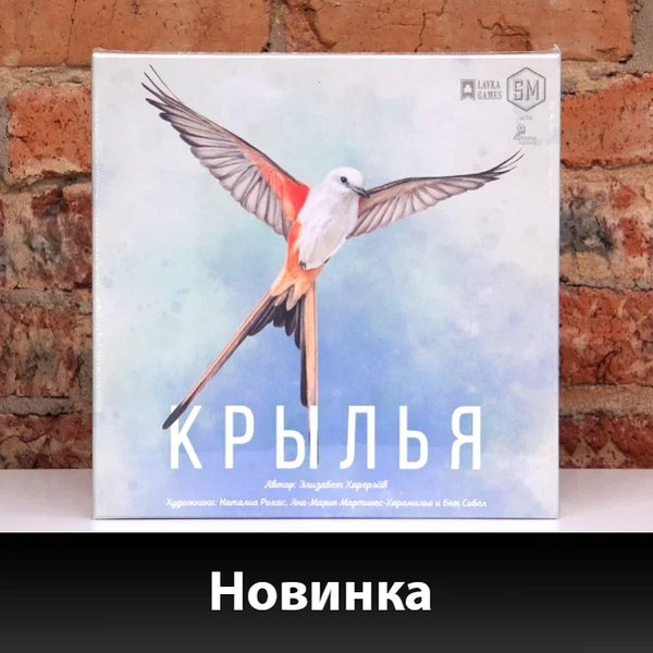 К нам прилетели «Крылья»!