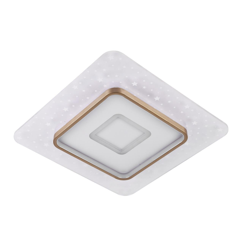 Потолочный светодиодный светильник LED4U L1029-500 WH-GD