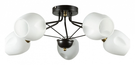 Накладная люстра Arte Lamp A2706PL-5CK