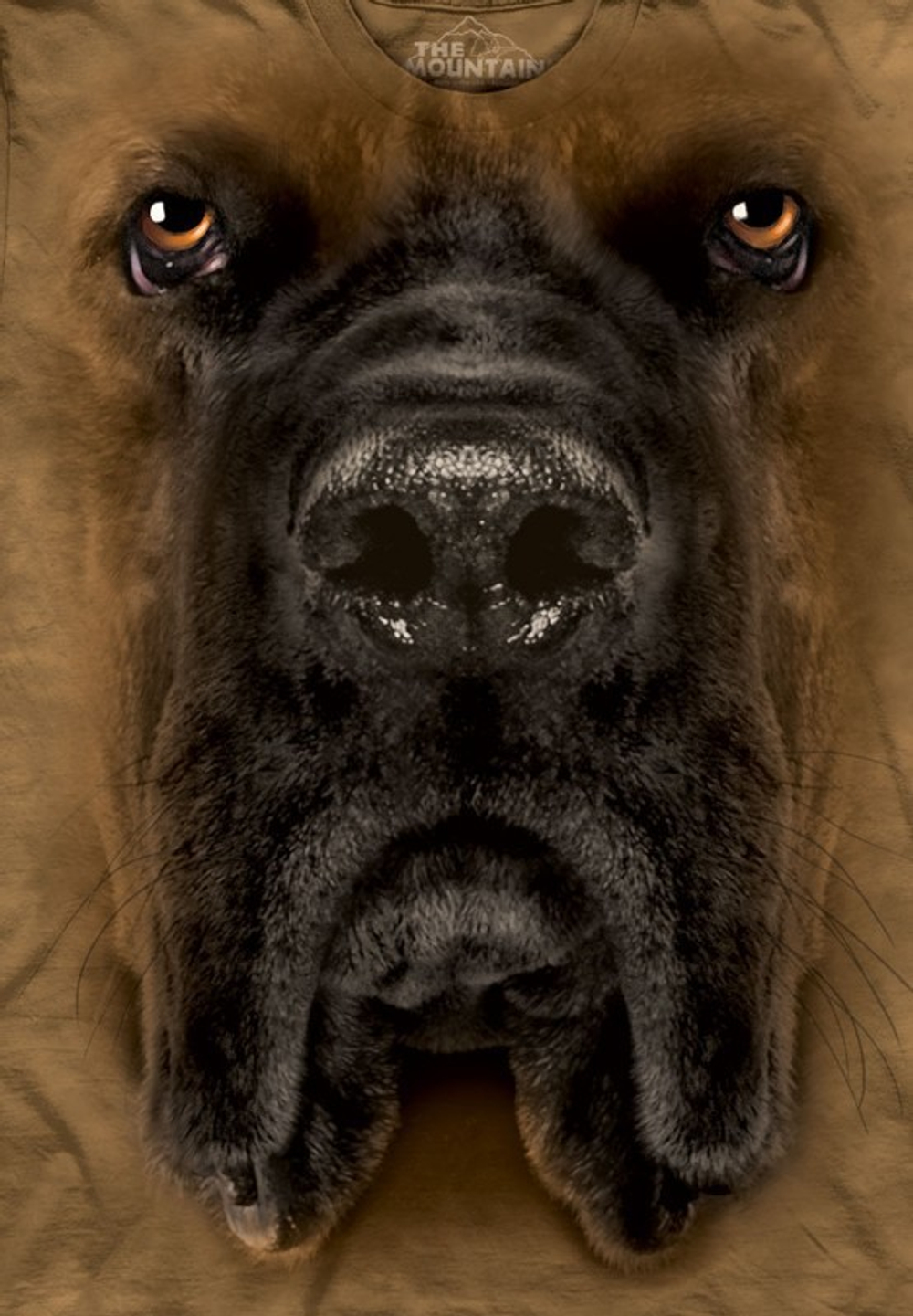 Mastiff Face