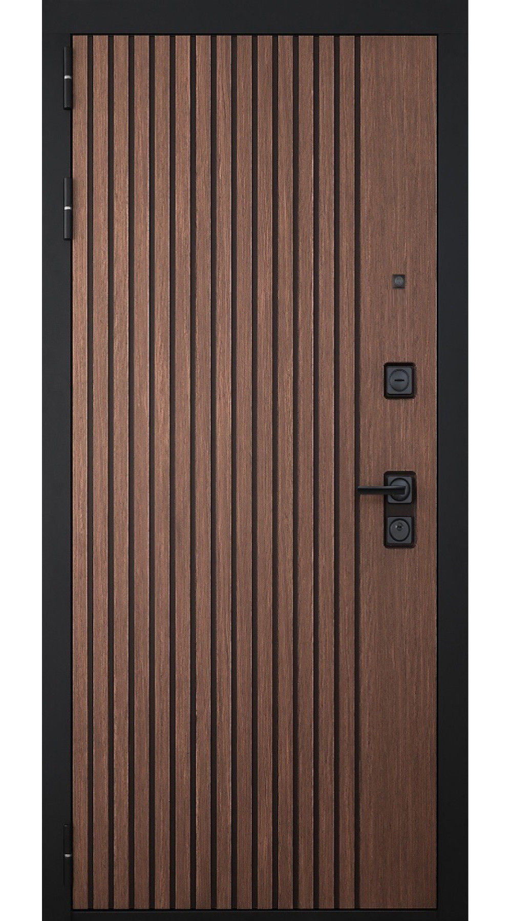 Входная дверь Шторм