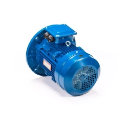 Электродвигатель 5АИ 100 L2 5,5/3000 IM3081