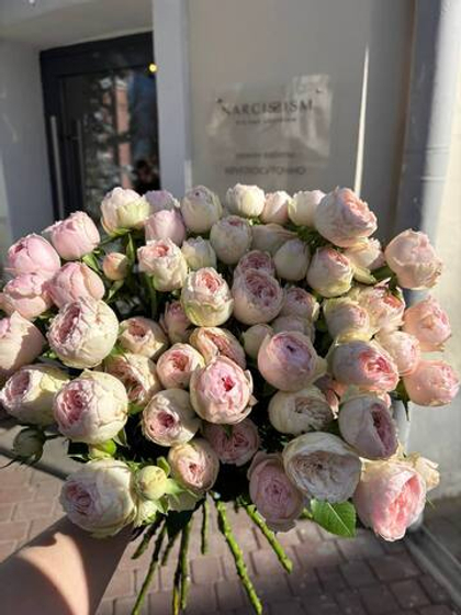 Кустовые розы