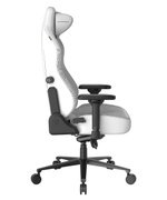Кресло игровое DXRacer Craft CRA/DXL5000/THINKER